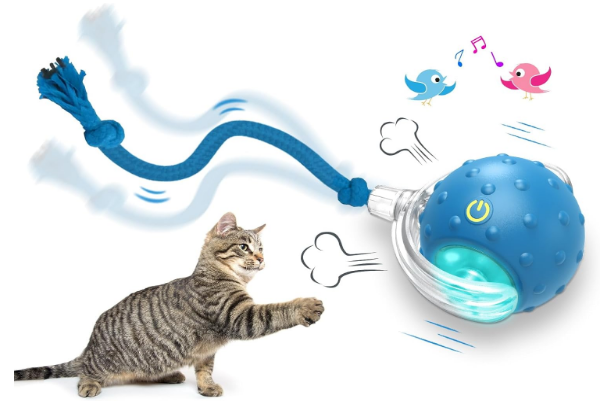 https://www.amazon.com/Giociv-Interactive-Rolling-Chirping-Activate/dp/B0CT3JTGS2/ref=sr_1_1_sspa?crid=11LLURAI9JRK6&dib=eyJ2IjoiMSJ9.YsqXF4uE5yyPEr-N0EPtlTCLcPQVhkvZZ49hddMpV6wQRAtTpCX8vg1NFgsPcV6pPF3SiVCVvgeUtJWvfbjxLEAyvCkzYg3FX4IQMlx-9-wYhi72oUG_38CapkqlsOdxsK5lo3nkpwPvzjmZi-js67oucTgUkeAvzWYBU6gQjcNjLiX8Dfyg39lRRFtvcr1Jbv3ezGR3RYJNfcFYOihjAKYWuH7gLgJnL29AugW9uO3fQ_w3W25apJEXEqY46bOiHtfI4kbhZuMy1psCLE5IIORa5nVyw2FzjXQFFYjMNAs.p-B-OV_GbT0TUxjn5LOW6N4Av_xvsKSALdJP-8KvWLI&dib_tag=se&keywords=cat+100%25+Automatic+Smart+Rolling+Ball&qid=1784677422&sprefix=cat+100%25+automatic+smart+rolling+ball%2Caps%2C364&sr=8-1-spons&sp_csd=d2lkZ2V0TmFtZT1zcF9hdGY&psc=1#:~:text=Ask%20something%20else-,Giociv%20Interactive%20Cat%20Toys%20Ball%20for%20Indoor%20Cats%20Fast%20Rolling%20on%20Carpet%2C%20Chirping%20%26%20Motion%20Activate%20Cat%20Toys,-(Blue)