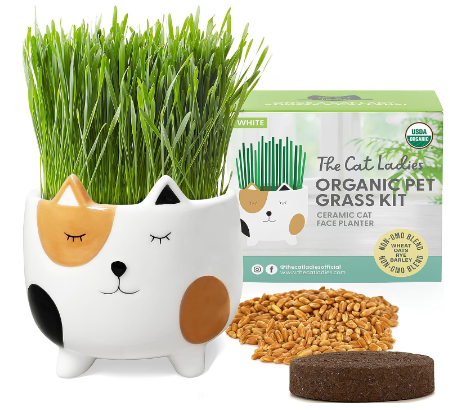 Ceramic Cat Grass Kit The Cat Ladies Cat Grass for Indoor Cats, Cat Grass Growing Kit with Organic Cat Grass Seed Mix, Soil and Ceramic Cat Planter, Pet Grass for Cats, Natural Hairball Remedy, Cat Gifts