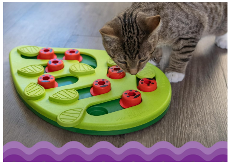 Interactive Smart Puzzle Feeder Catstages Nina Ottosson Buggin’ Out Puzzle & Play Cat Puzzle Feeder – Interactive Treat Game for Indoor Cats, Level 2 Slow Feeder Enrichment Toy