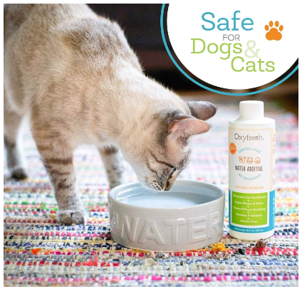Oxyfresh Premium Pet Dental Care Solution Pet Water Additive: Best Way to Eliminate Bad Dog Breath and Cat Bad Breath - Fights Tartar & Plaque - So Easy, Just Add to Water! Vet Recommended 16 oz.