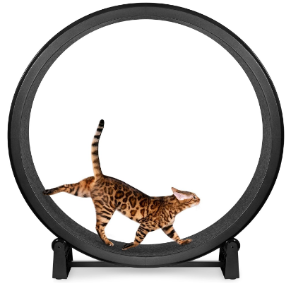 One Fast Cat - Cat Exercise Wheel - Made in the USA - 48" Diameter - Gen. 7