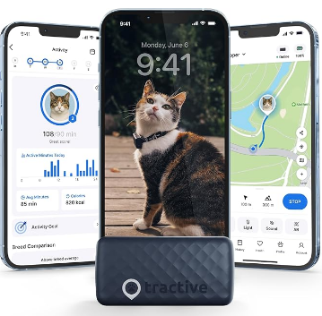 Minimalist GPS and wellness activity tracker collar on a cat
