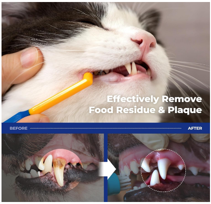 PETHROOM] Pet Toothbrush for Cats and Dogs | Round Shaped Head with Ultra Soft Bristle for Deep Cleaning Dental Care, Kitten and Small Dogs, Tartar Plaque Removal (Deep Point)