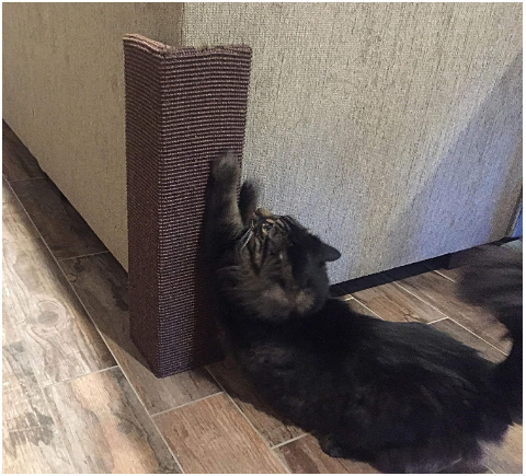 Sofa-Scratcher Squared Cat Scratching